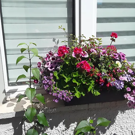 Weiland 55qm ルターシュタット・アイスレーベン